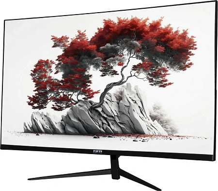 LCD монитор 27" RDW Computers RDW2701K Q00B0 IPS QHD