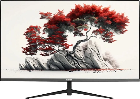 LCD монитор 27" RDW Computers RDW2701K Q00B0 IPS QHD