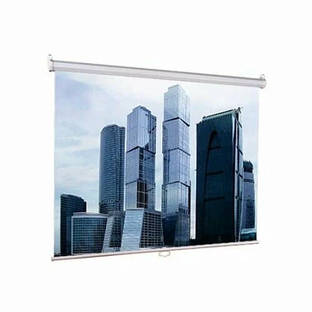Экран настенно-потолочный для проектора Lumien 160x160см Eco Picture LEP-100105 1:1 Экран настенно-потолочный для проектора Lumien 160x160см Eco Picture LEP-100105 1:1